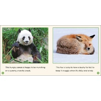 Product alt image 3