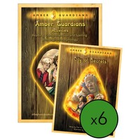 Amber Guardians Series Classroom Bundle + Workbook