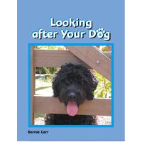 Looking after Your Dog