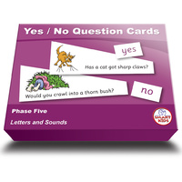 Letters and Sounds - Yes / No Question Cards Phase 5
