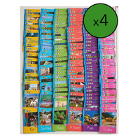 PLD Literacy - Decodable Readers Sets 1-6 Classroom Pack