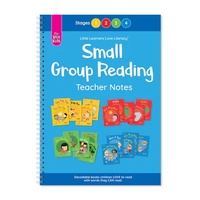 Little Learners - Small Group Reading Notes The Wiz Kids Stages 1-4