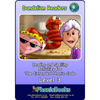 Dandelion Readers Level 3 Reading Spelling Activities Workbook